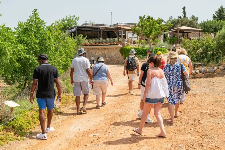 aloe-walk-4_sm.jpg